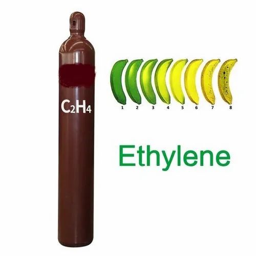 Ethylene: "Hóa chất quan trọng nhất thế giới"