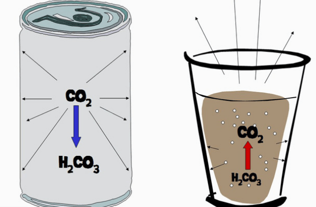 Khí CO2 có tan được trong nước hay không-1