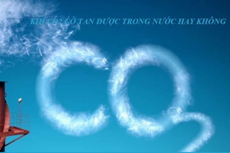 Khí CO2 có tan được trong nước hay không