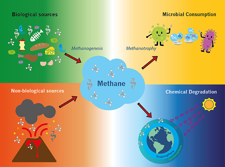 khí Metan