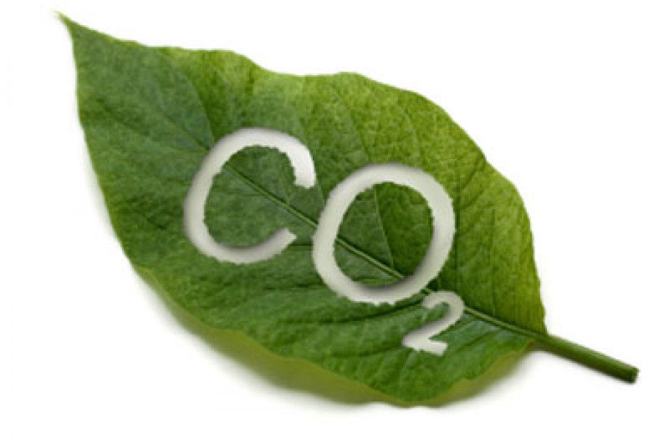 Những tác hại của Carbon Dioxide mang lại trong đời sống-3