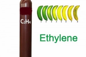 Ethylene: 